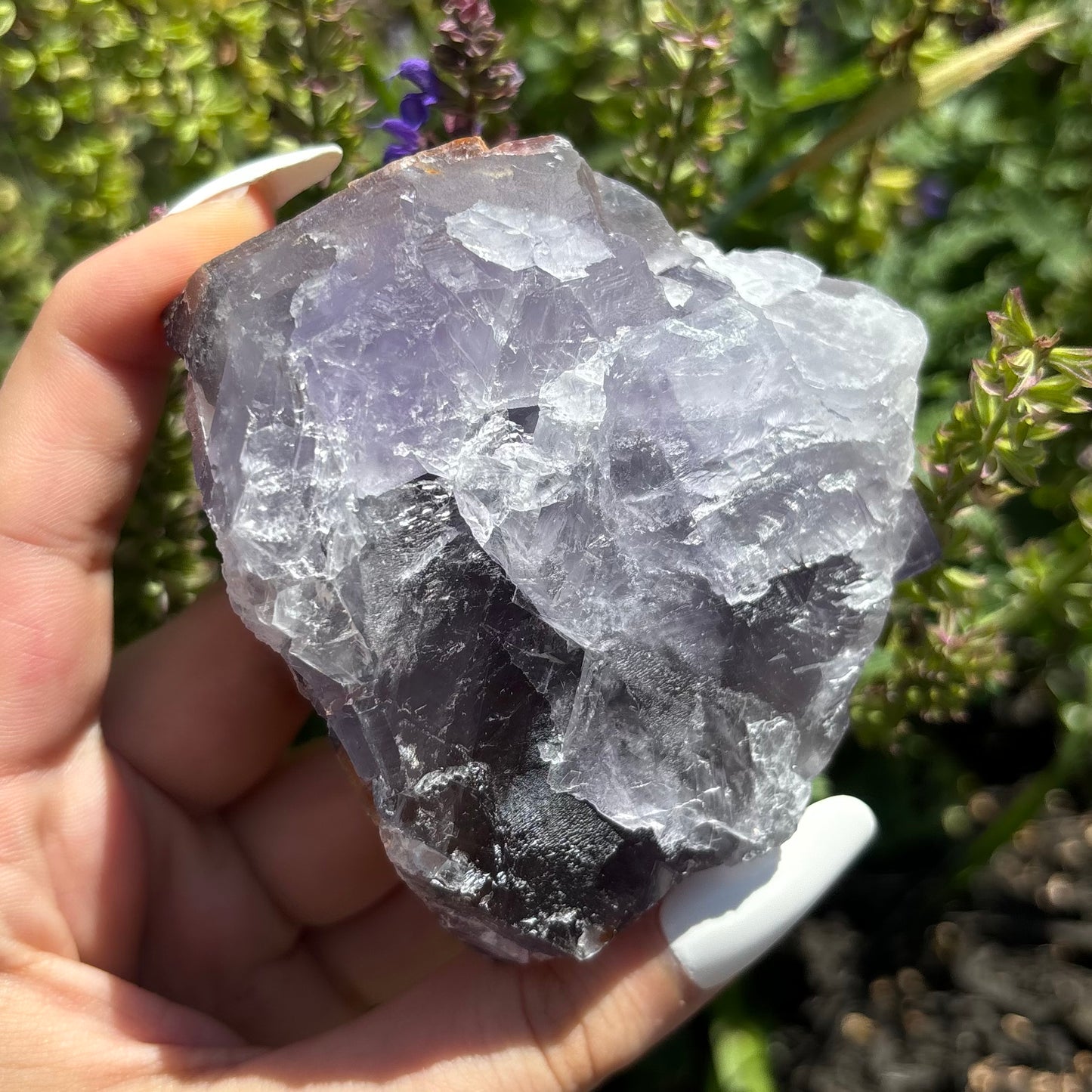 PURPLE FLUORITE (RAW)