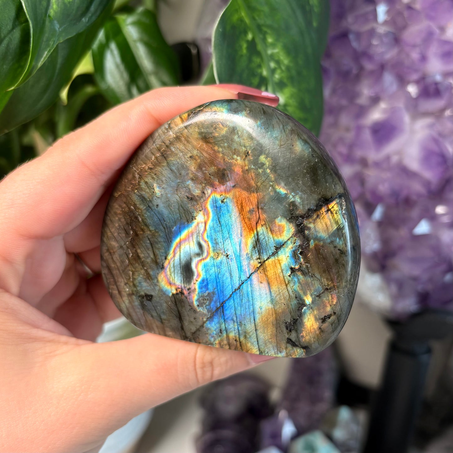 LABRADORITE FREEFORMS