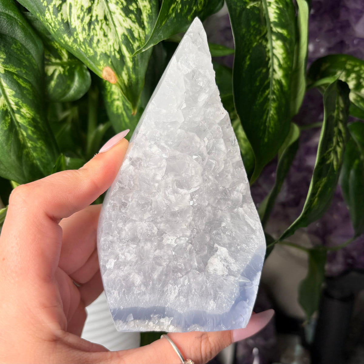 BLUE LACE AGATE FREEFORMS