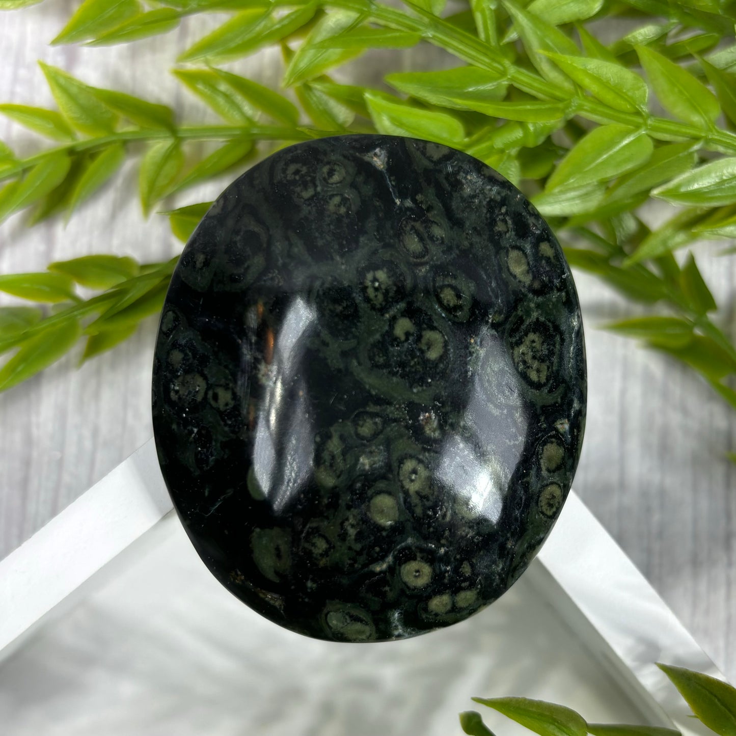 KAMBABA JASPER PALMSTONES