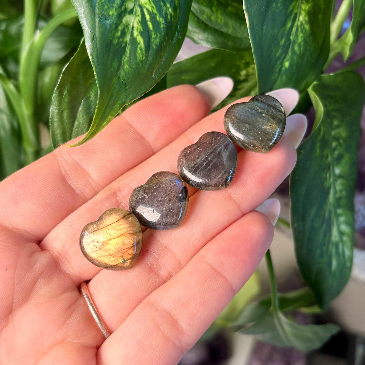 LABRADORITE HEART