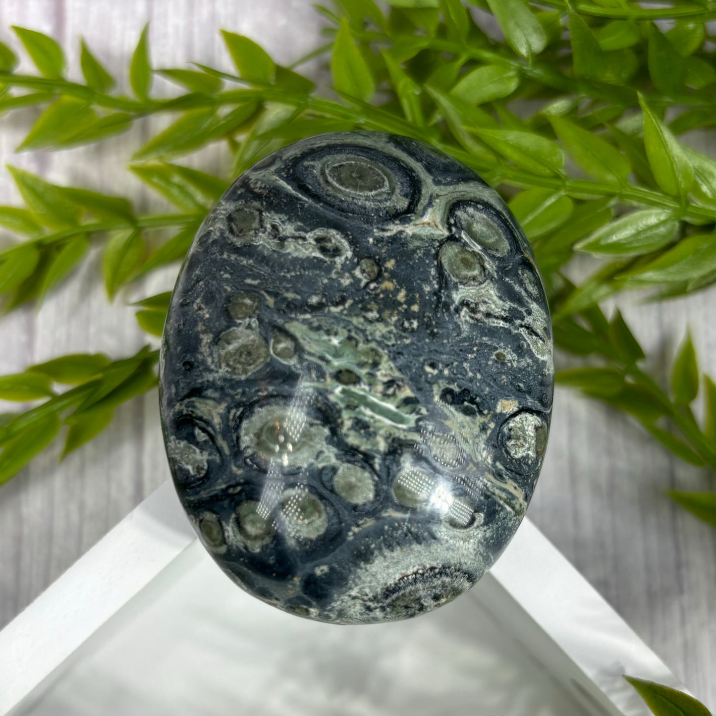 KAMBABA JASPER PALMSTONES