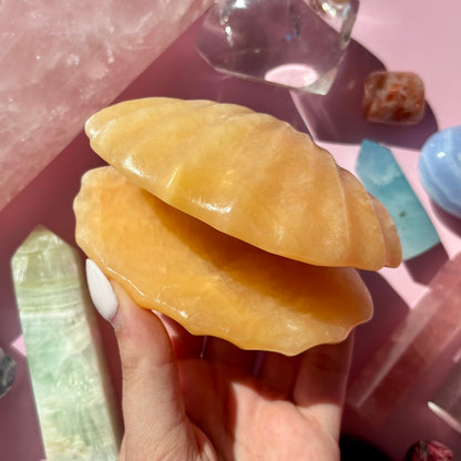 ORANGE CALCITE CLAMSHELL