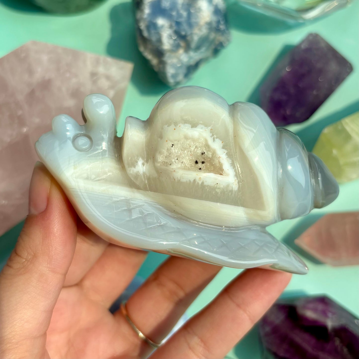 AGATE DRUZY SNAILS