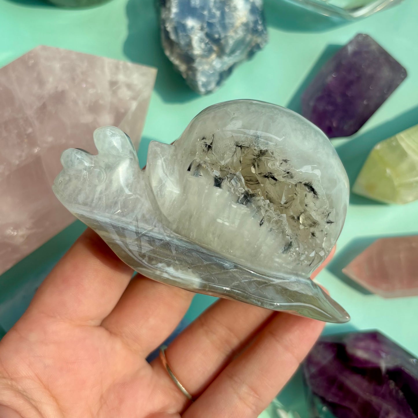 AGATE DRUZY SNAILS