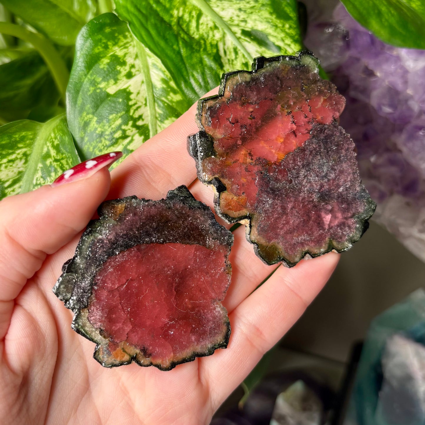WATERMELON TOURMALINE SLICE