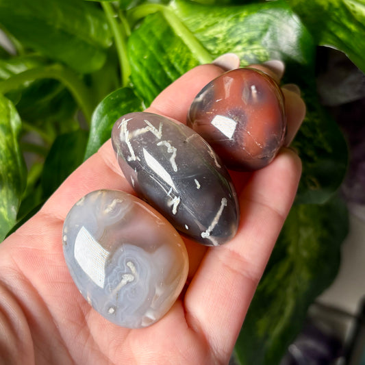 MOZAMBIQUE AGATE TUMBLE