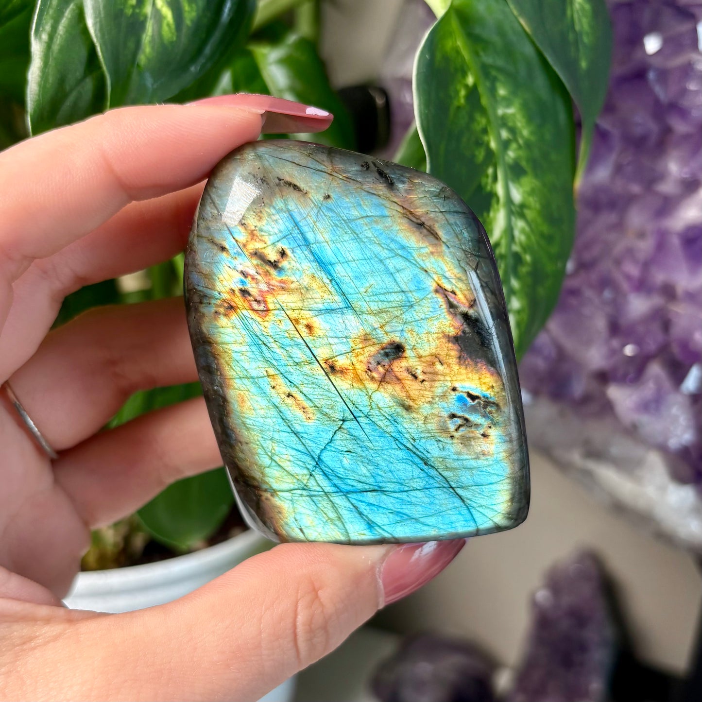 LABRADORITE FREEFORMS