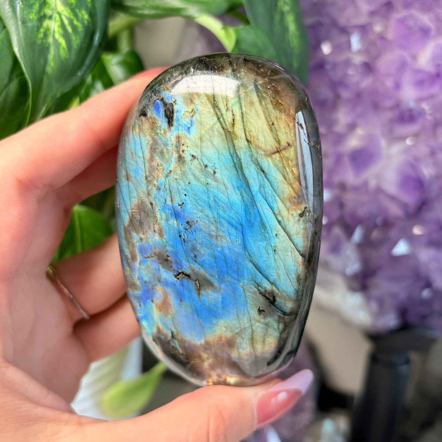 LABRADORITE FREEFORMS