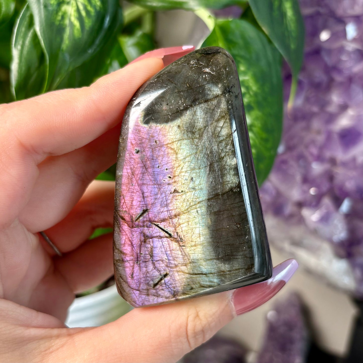 LABRADORITE FREEFORMS
