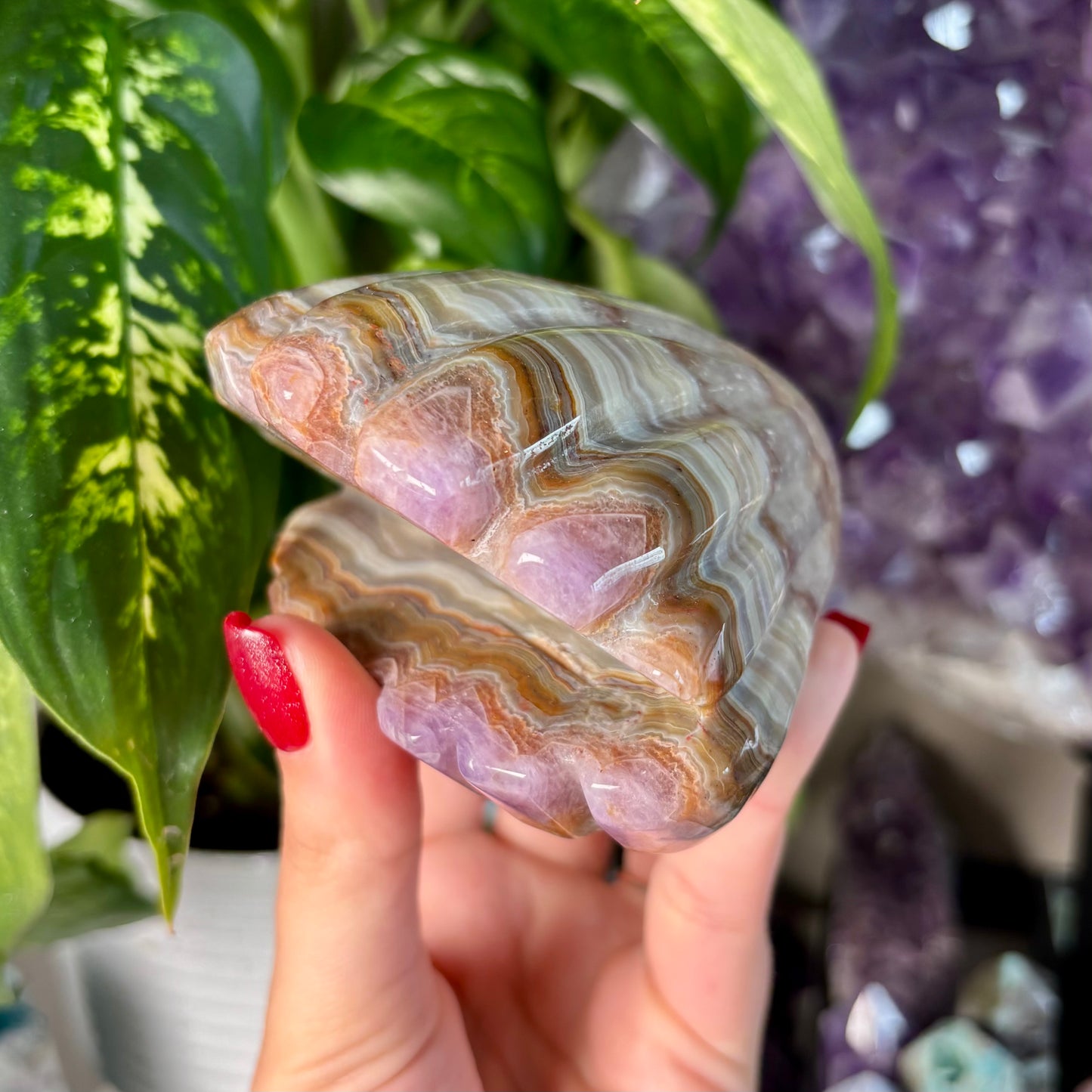 AMETHYST/ MOROCCAN AGATE CLAM