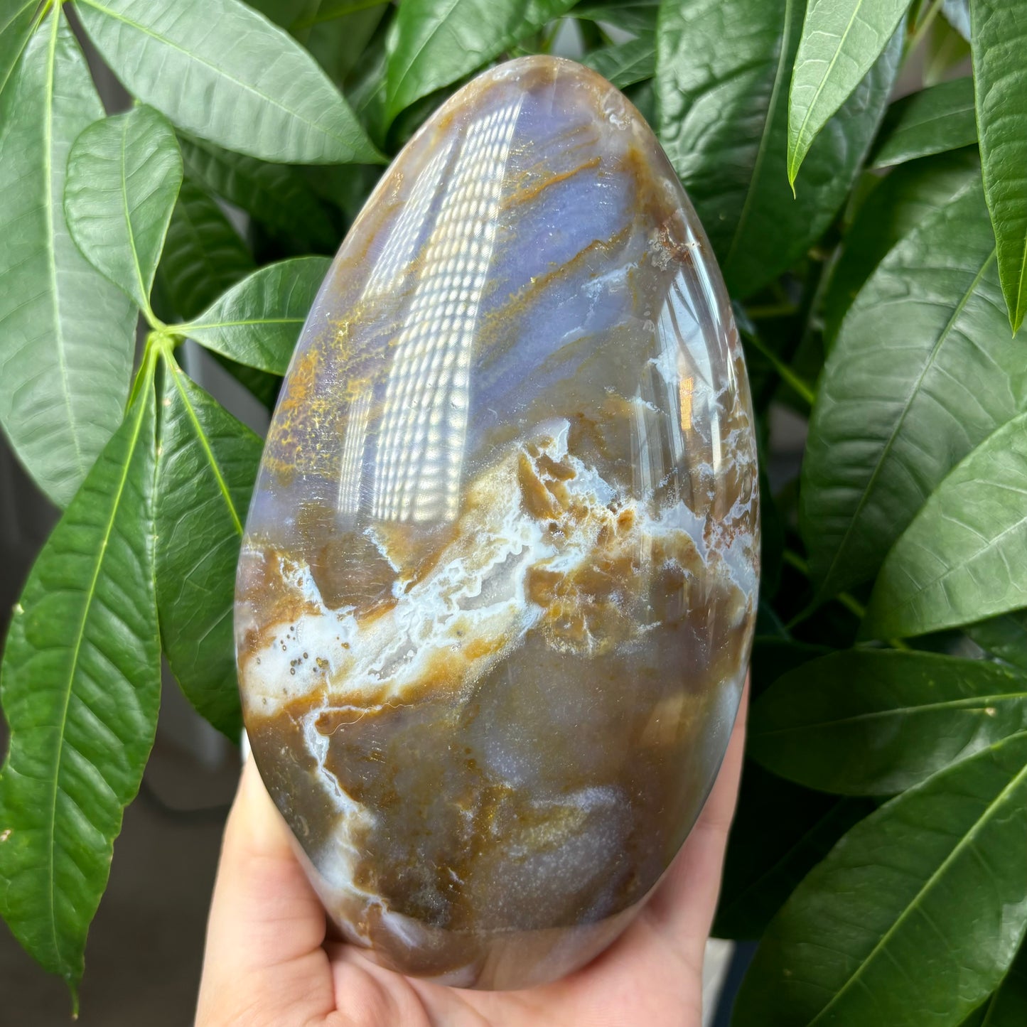 OCEAN JASPER FREEFORM