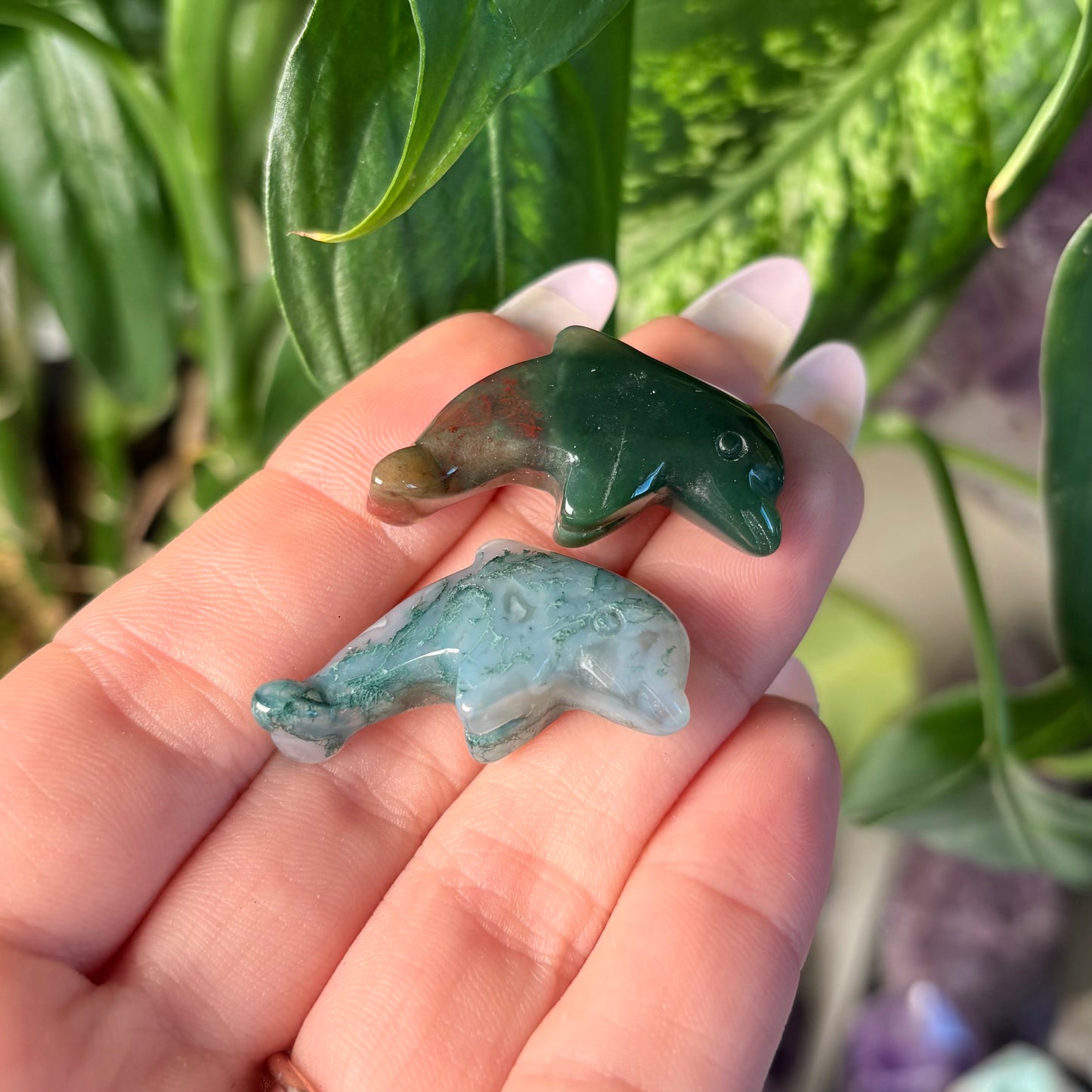 MOSS AGATE DOLPHIN