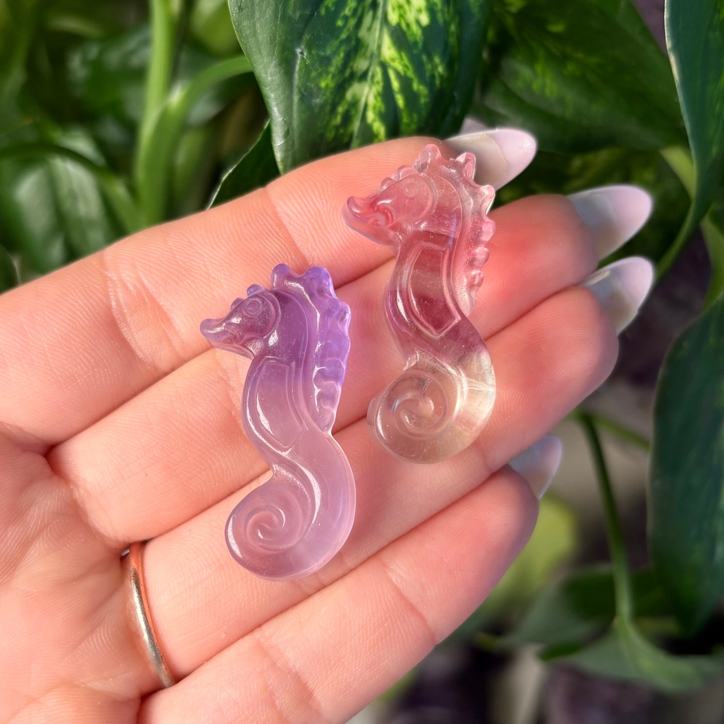 FLUORITE SEAHORSE