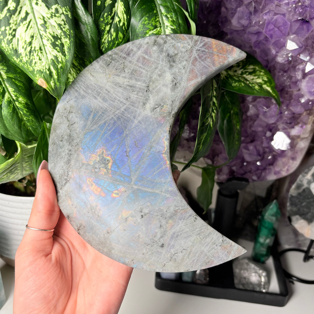 LABRADORITE MOONS