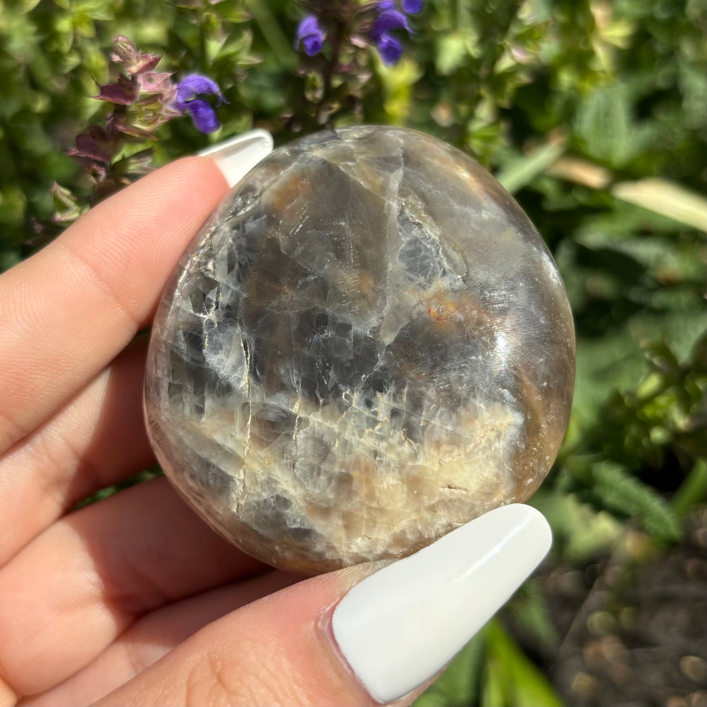 BLACK MOONSTONE PALMSTONES