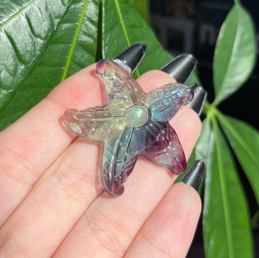 FLUORITE STARFISH