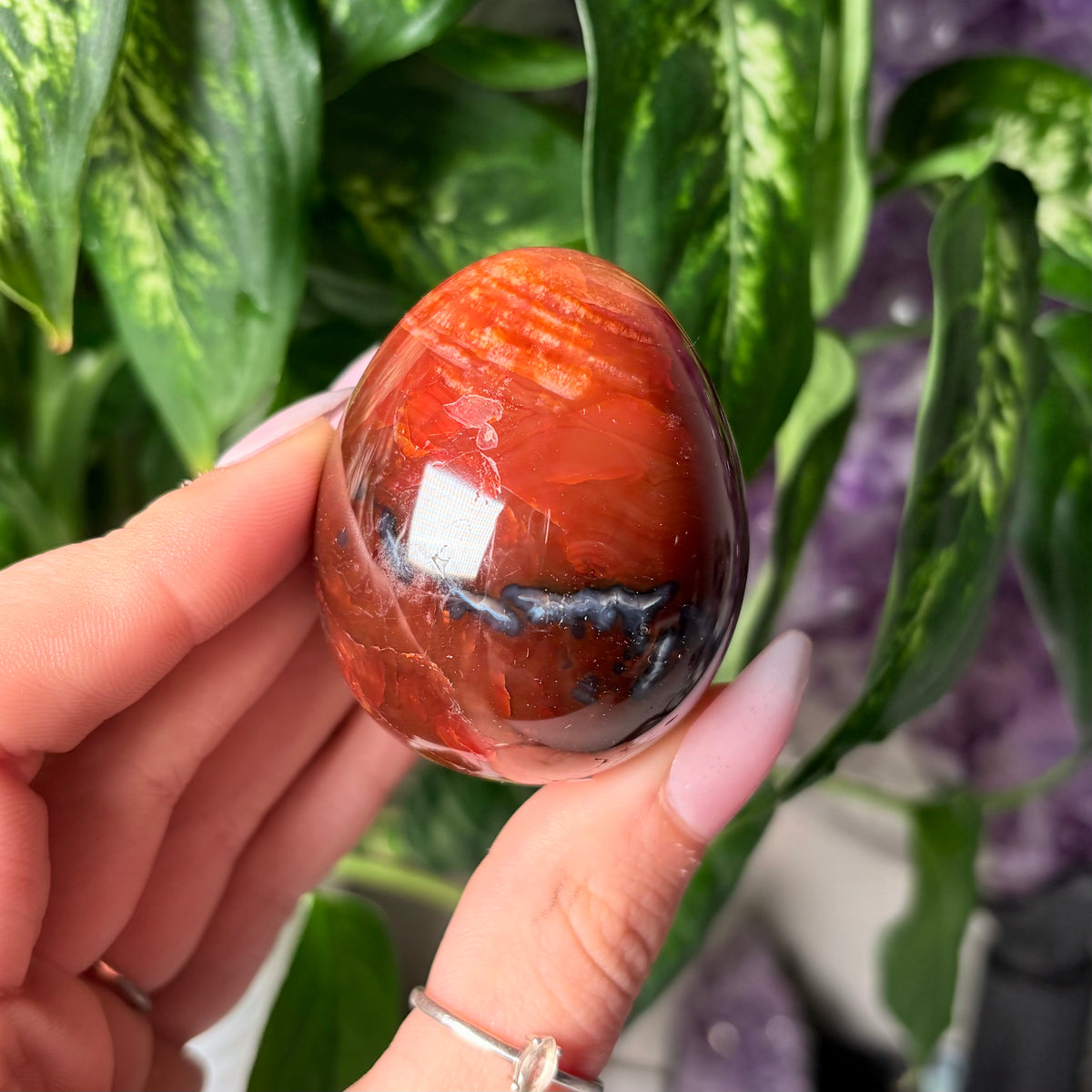 CARNELIAN EGGS