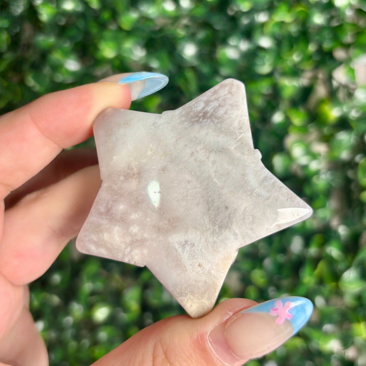 FLOWER AGATE STARS