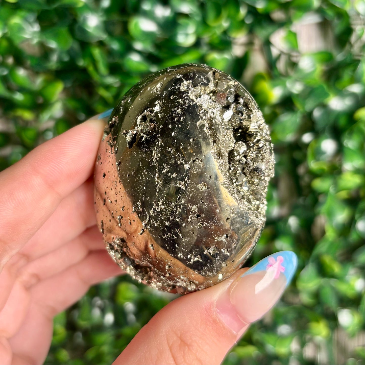 PYRITE PALMSTONES