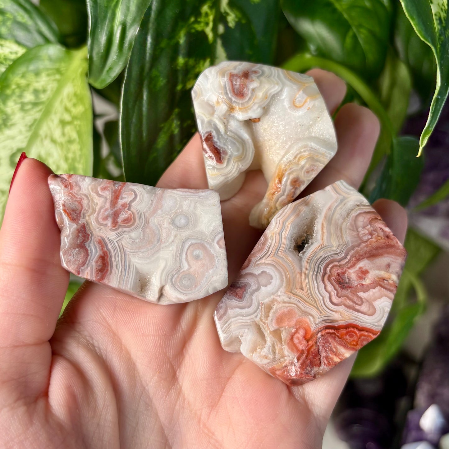 MOROCCAN AGATE FREEFORMS