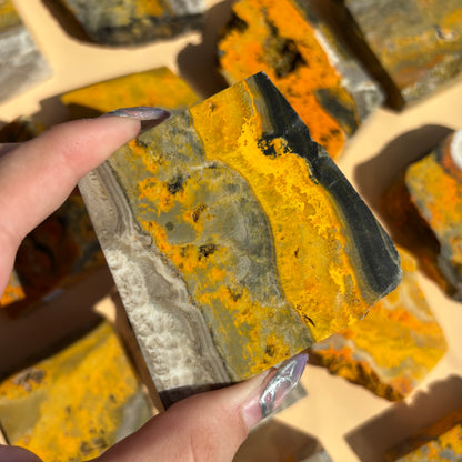 BUMBLEBEE JASPER SLABS