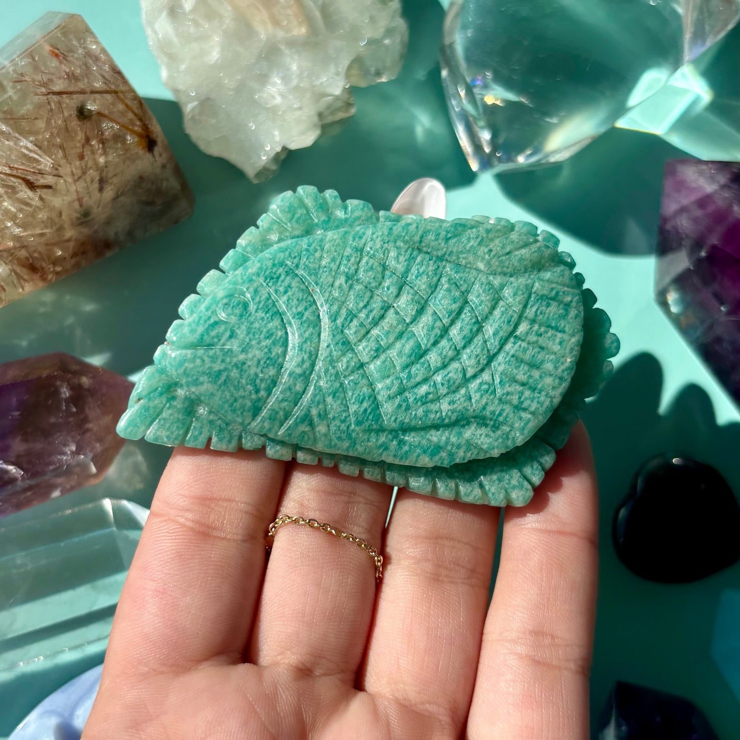 AMAZONITE SEA CREATURES