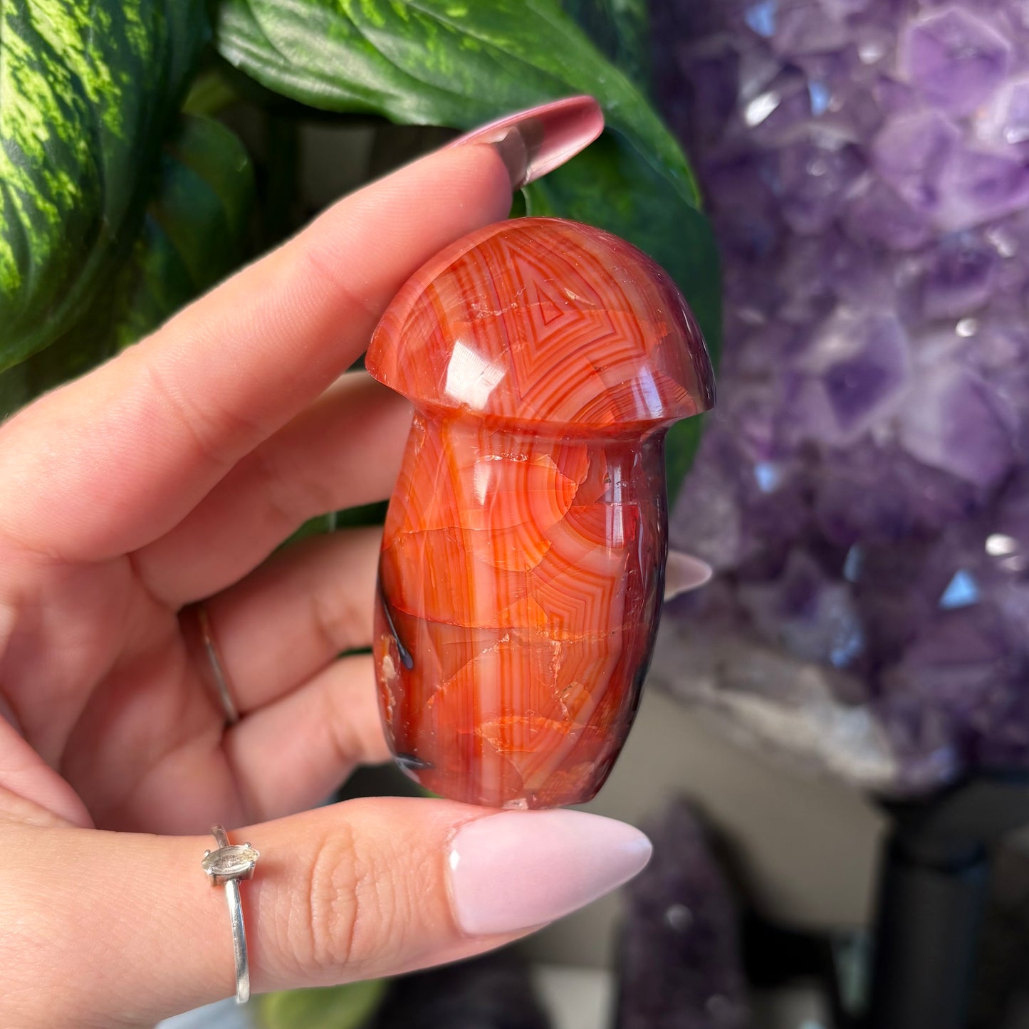 CARNELIAN MUSHROOM