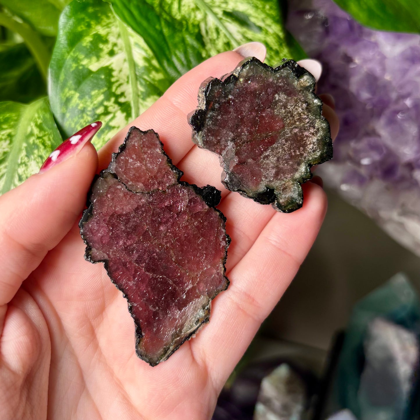 WATERMELON TOURMALINE SLICE