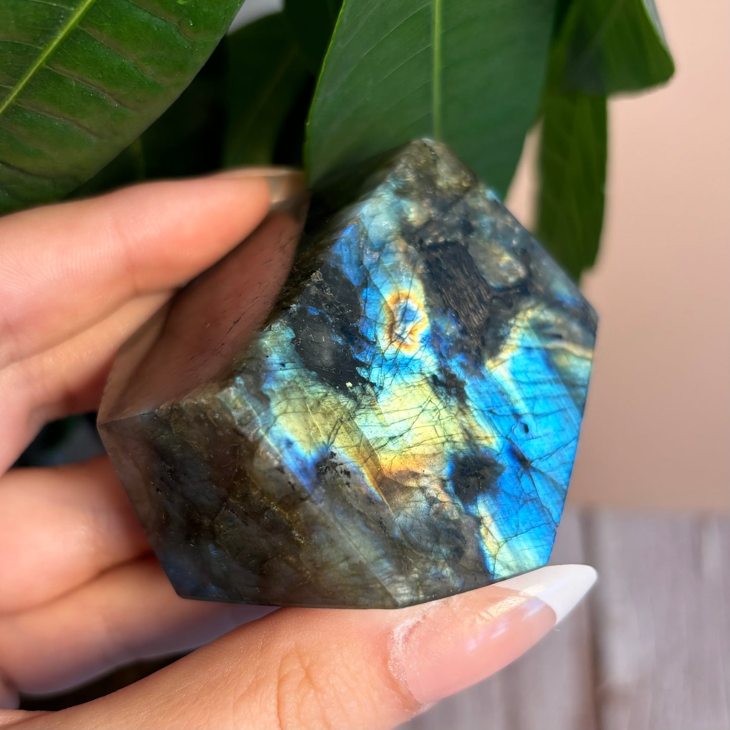 LABRADORITE GUSHERS