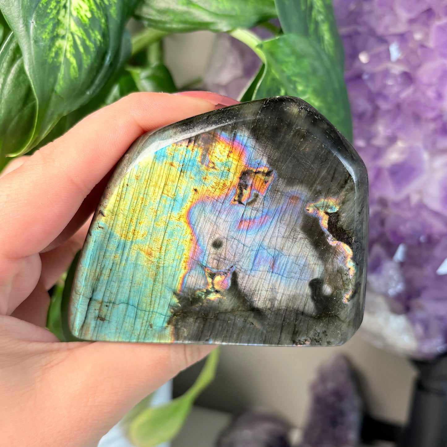 LABRADORITE FREEFORMS
