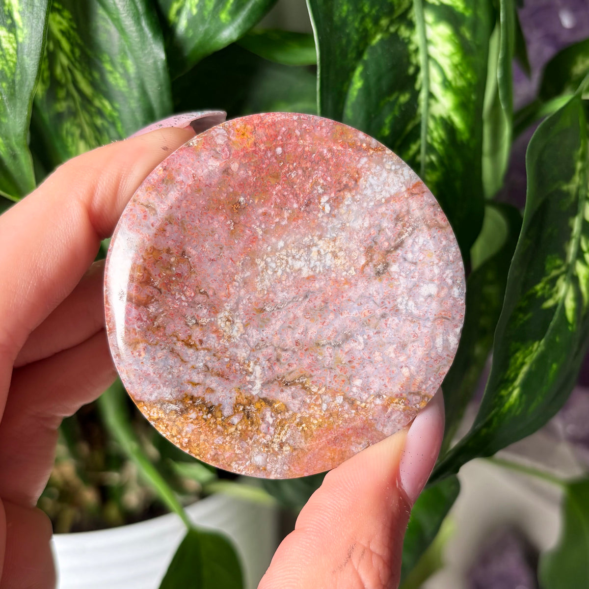 OCEAN JASPER BOWLS