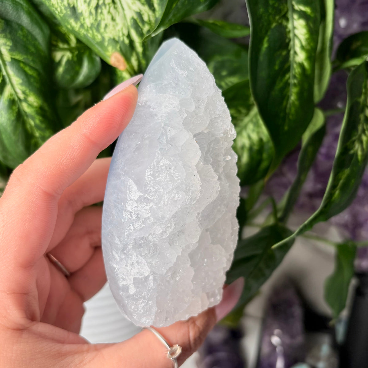BLUE LACE AGATE FREEFORMS