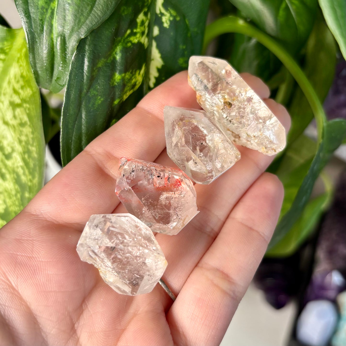 GARDEN QUARTZ ENHYDROS