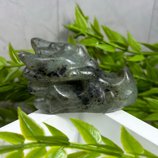 LABRADORITE DRAGON HEAD