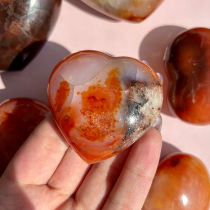CARNELIAN HEARTS