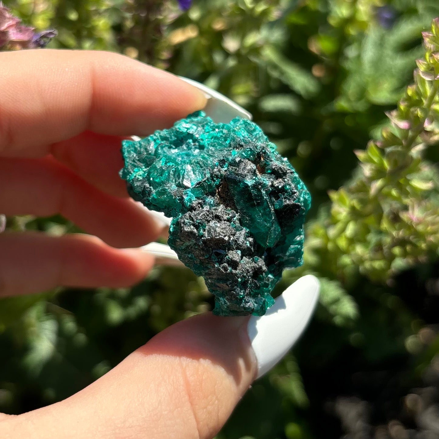 DIOPTASE SPECIMENS