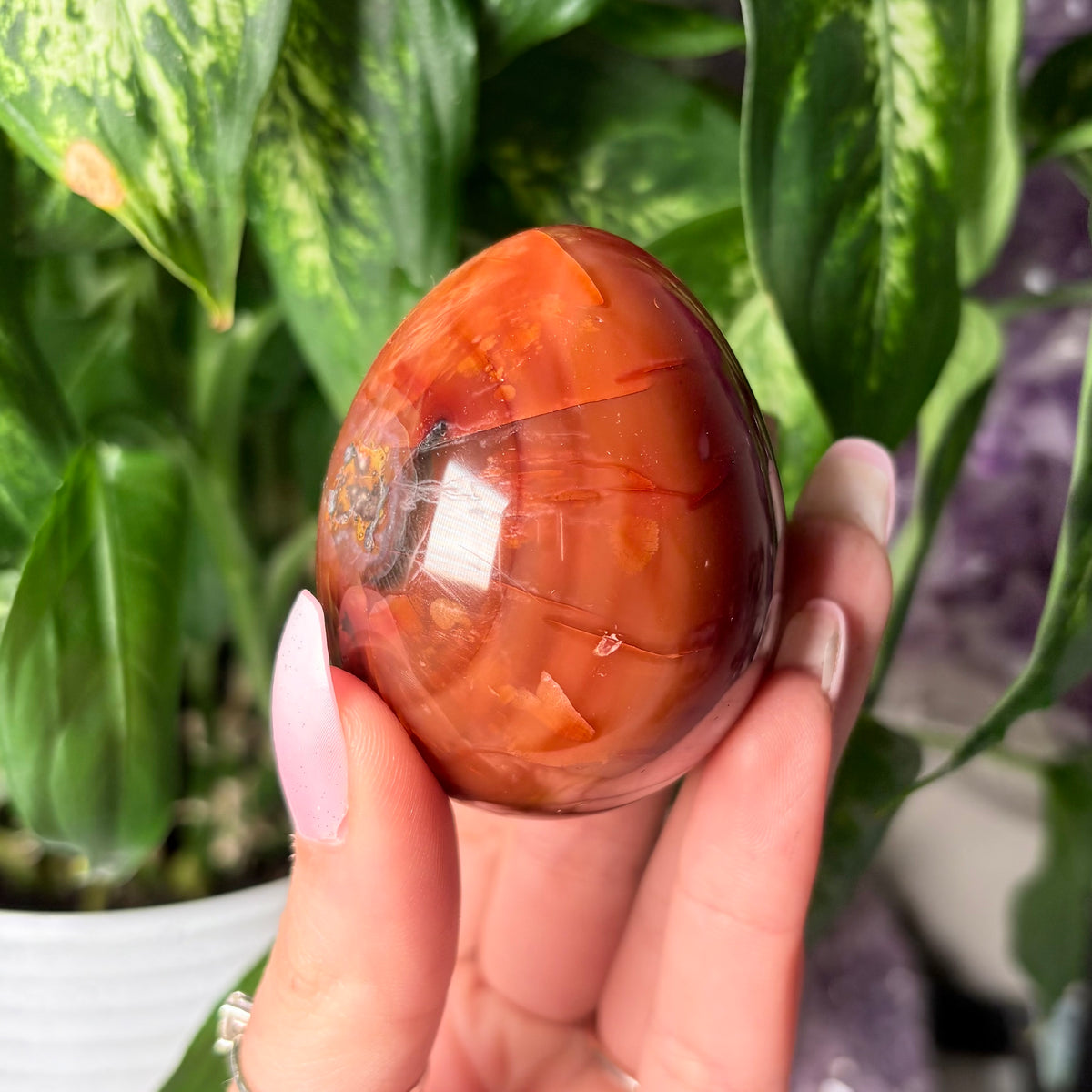 CARNELIAN EGGS
