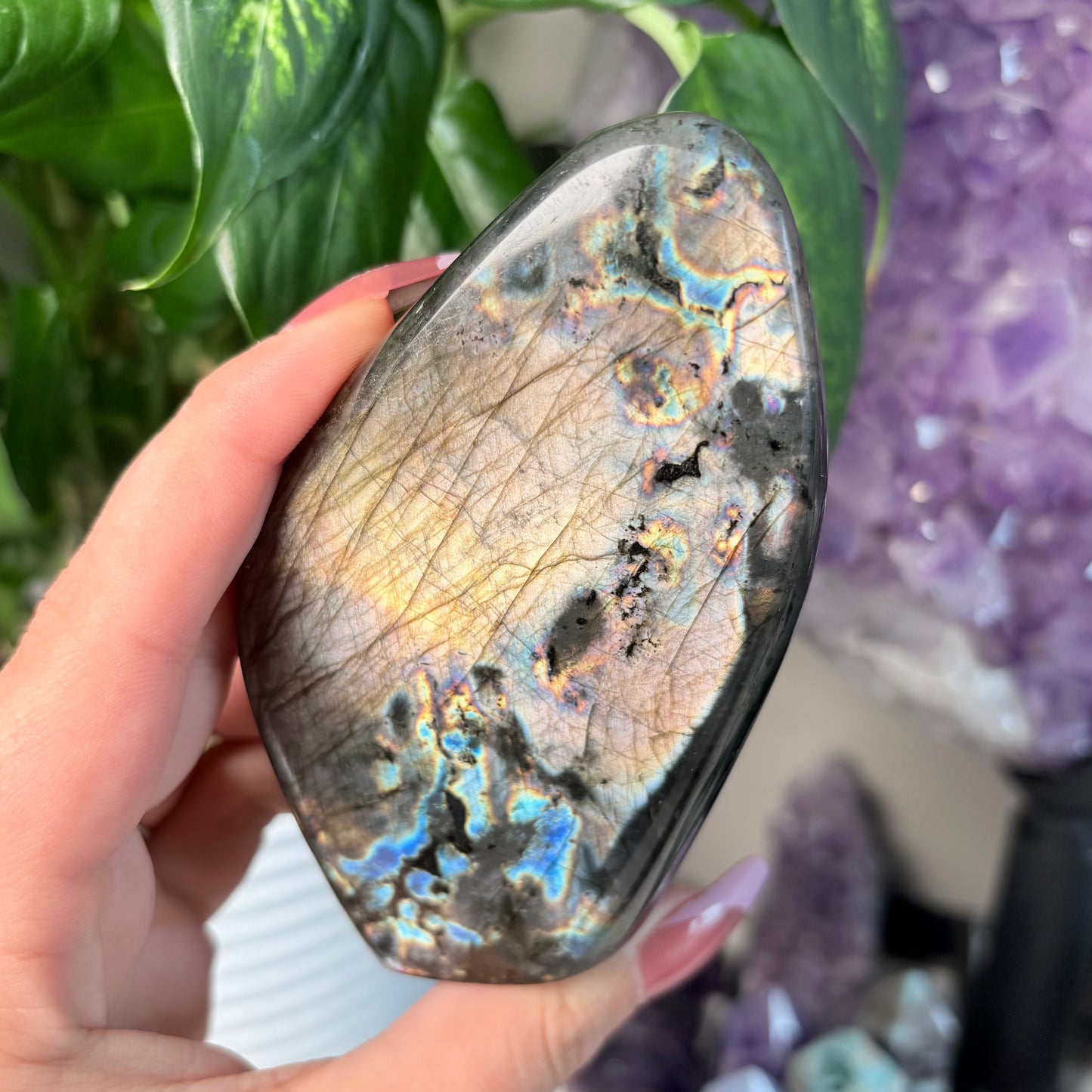 LABRADORITE FREEFORMS