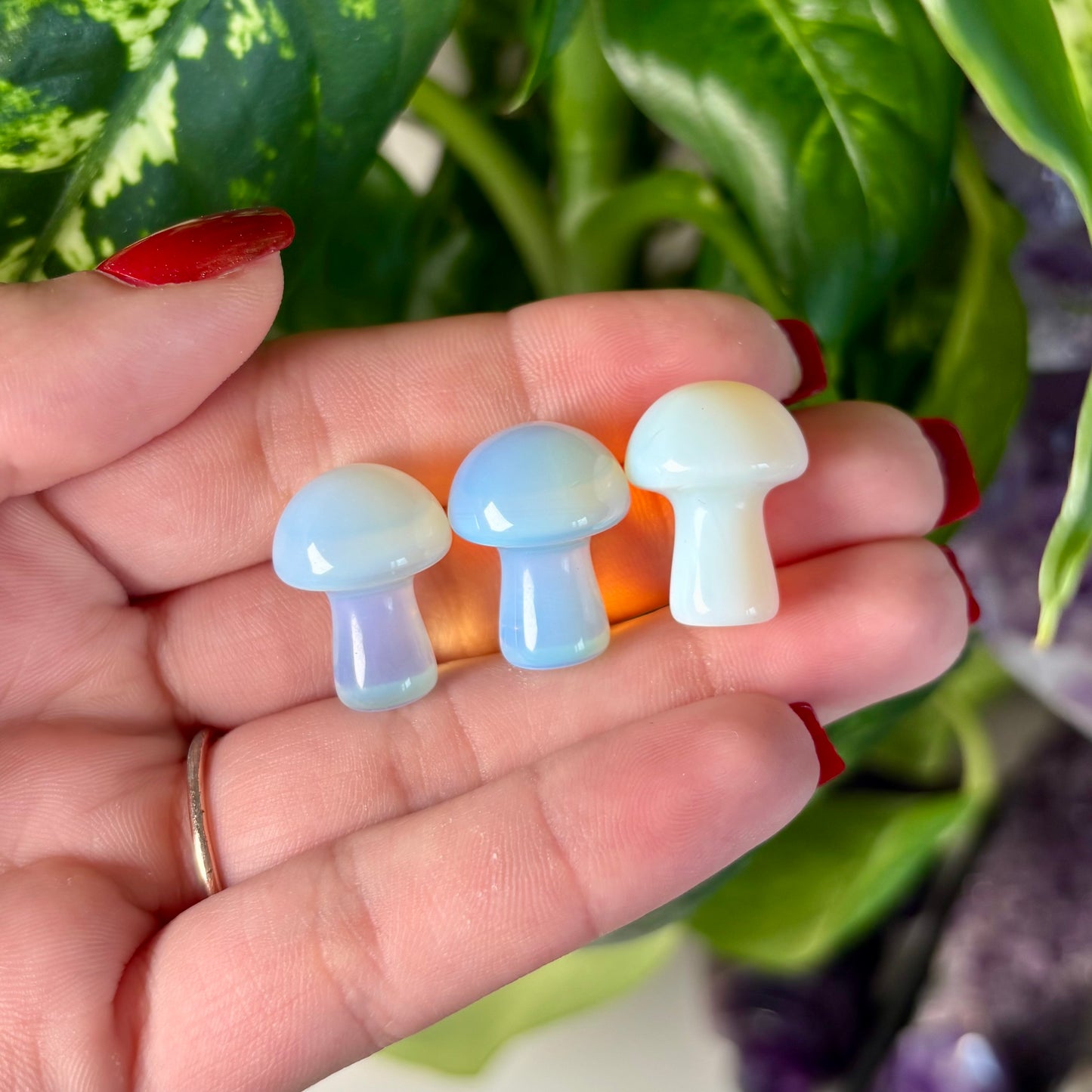OPALITE MUSHROOM