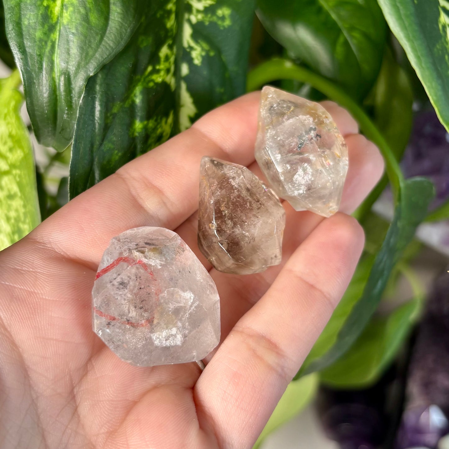GARDEN QUARTZ ENHYDROS