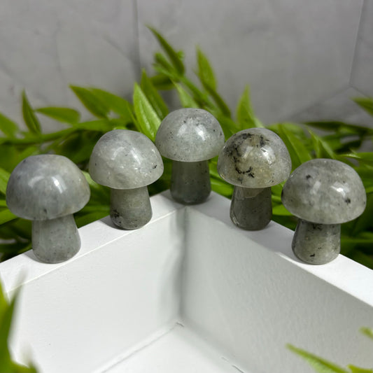 LABRADORITE MUSHROOM