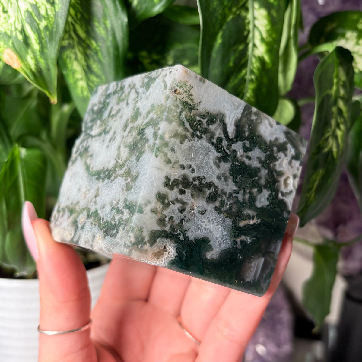 MOSS AGATE CUBES