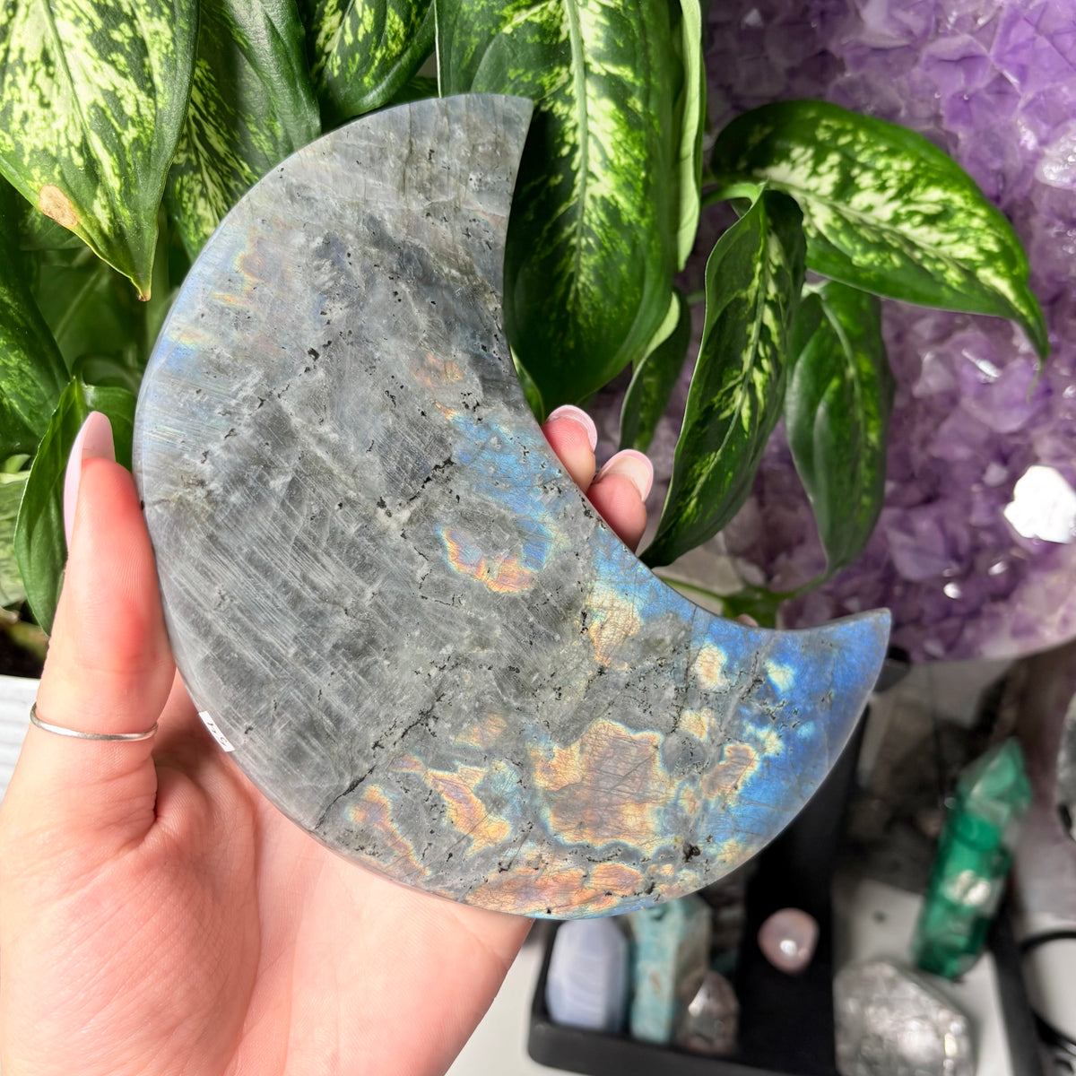 LABRADORITE MOONS