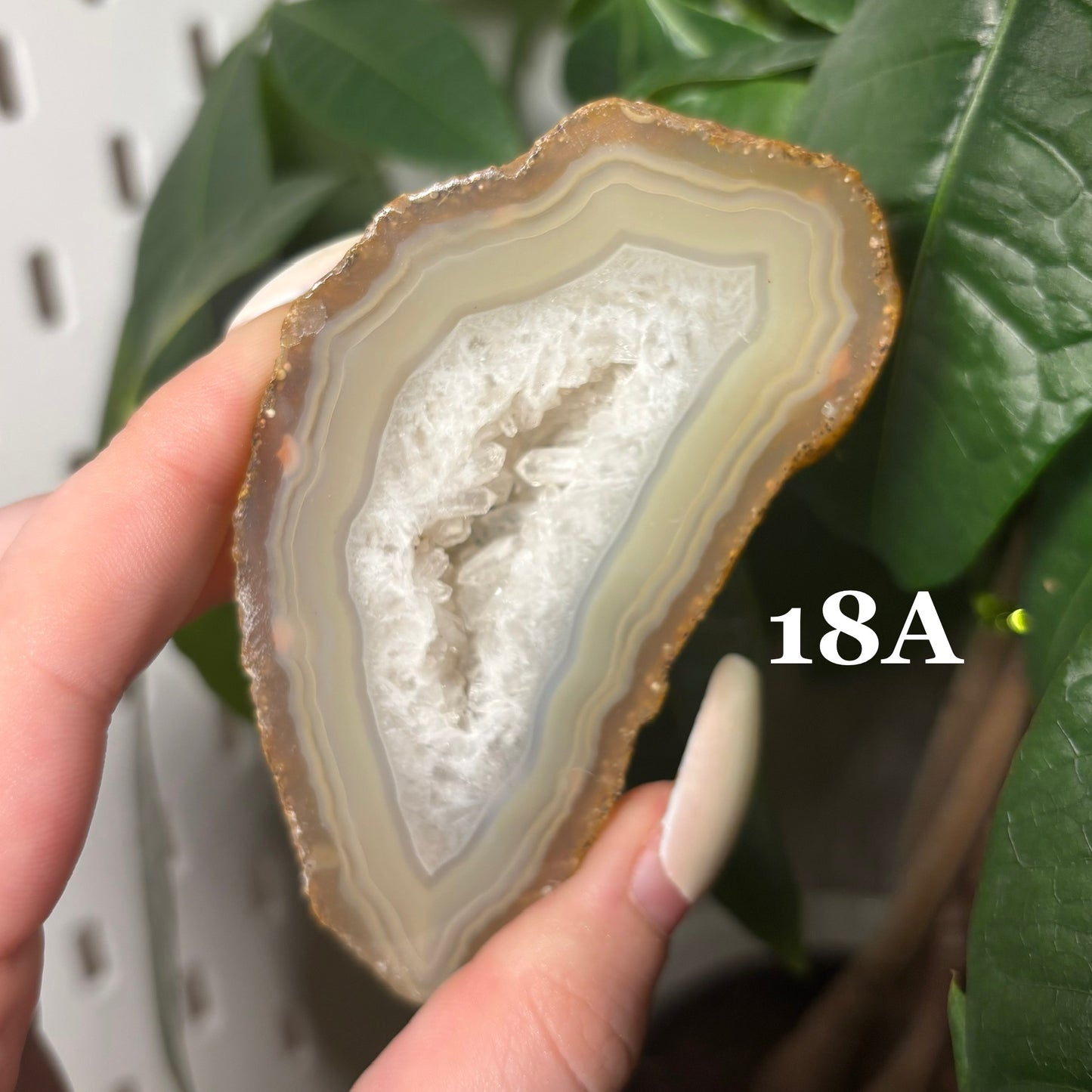 DRUZY AGATE SLABS