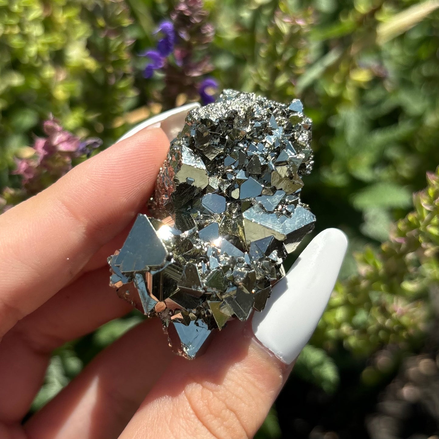 PYRITE CLUSTERS