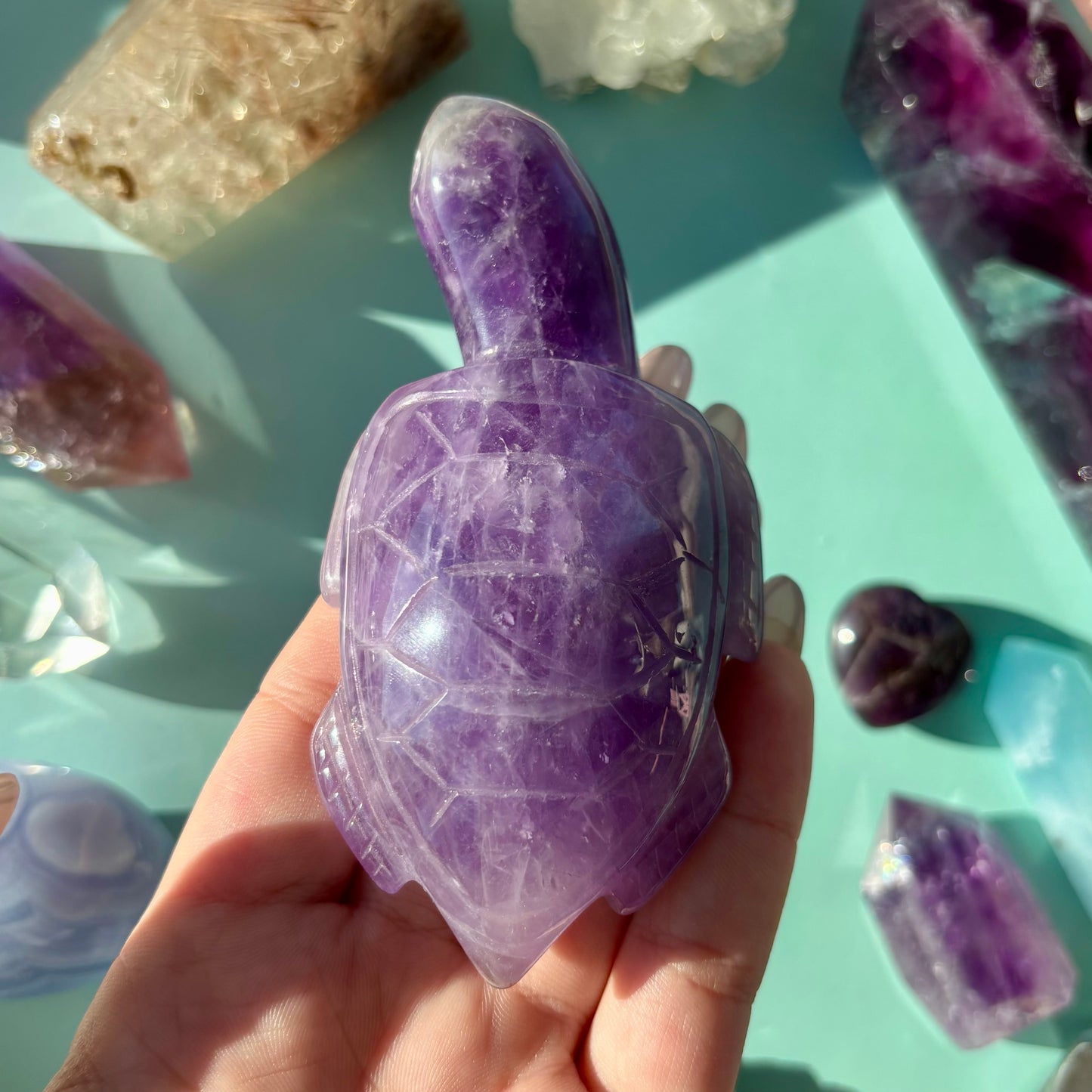 AMETHYST TURTLES