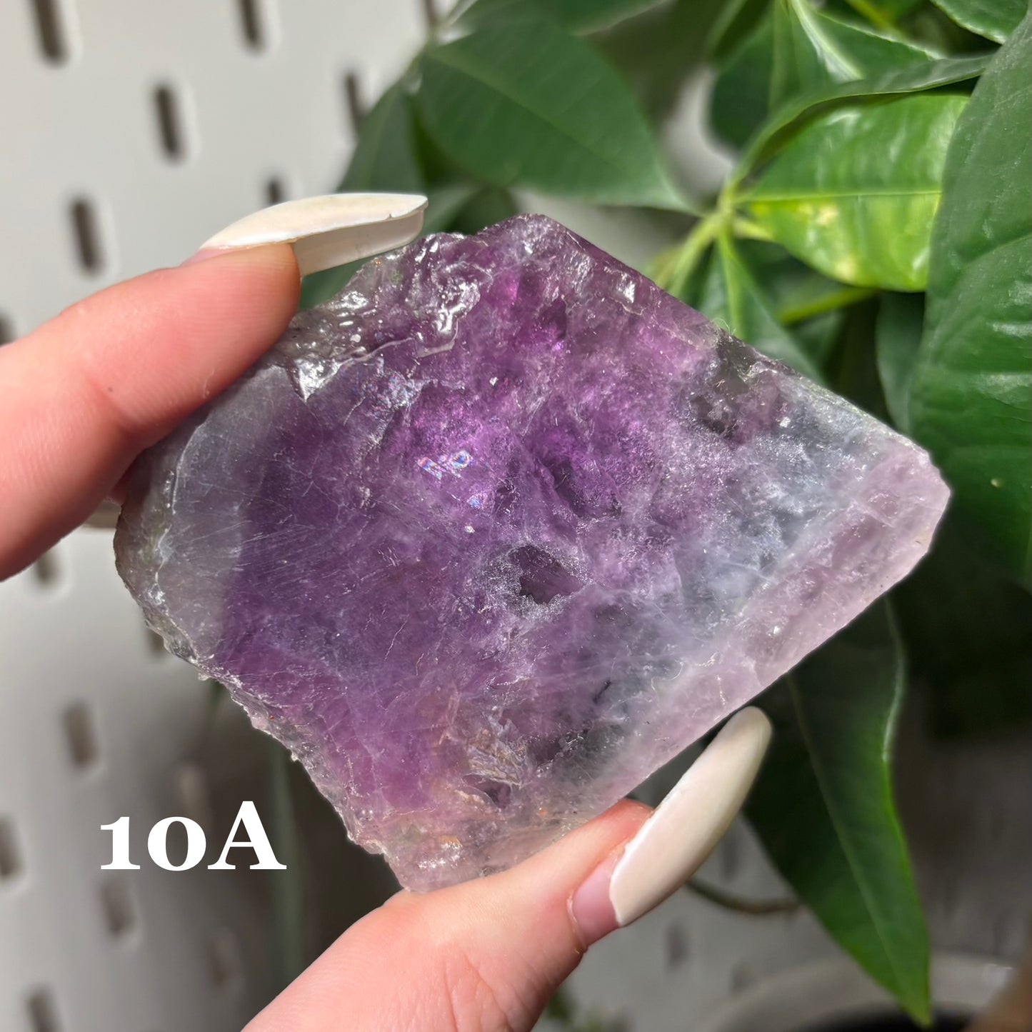 FLUORITE SLABS