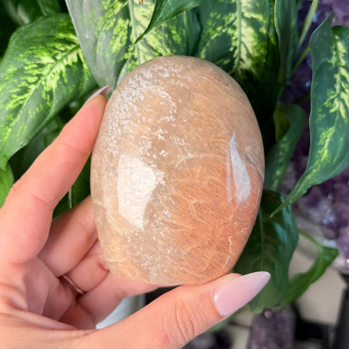 PEACH MOONSTONE FREEFORMS