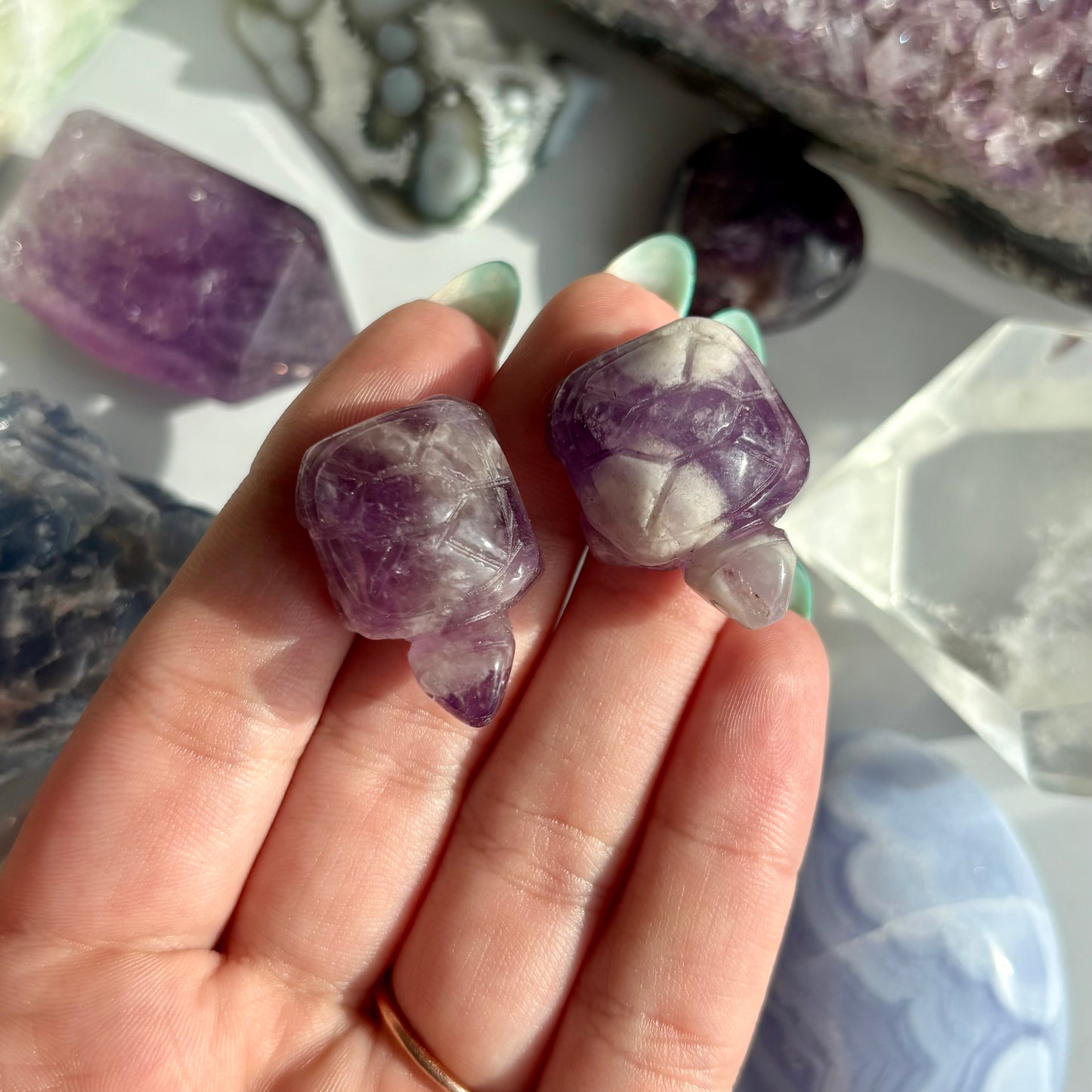 AMETHYST TURTLE